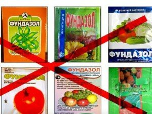 Фундазол для комнтаных растений, фундазол применение,fundazol